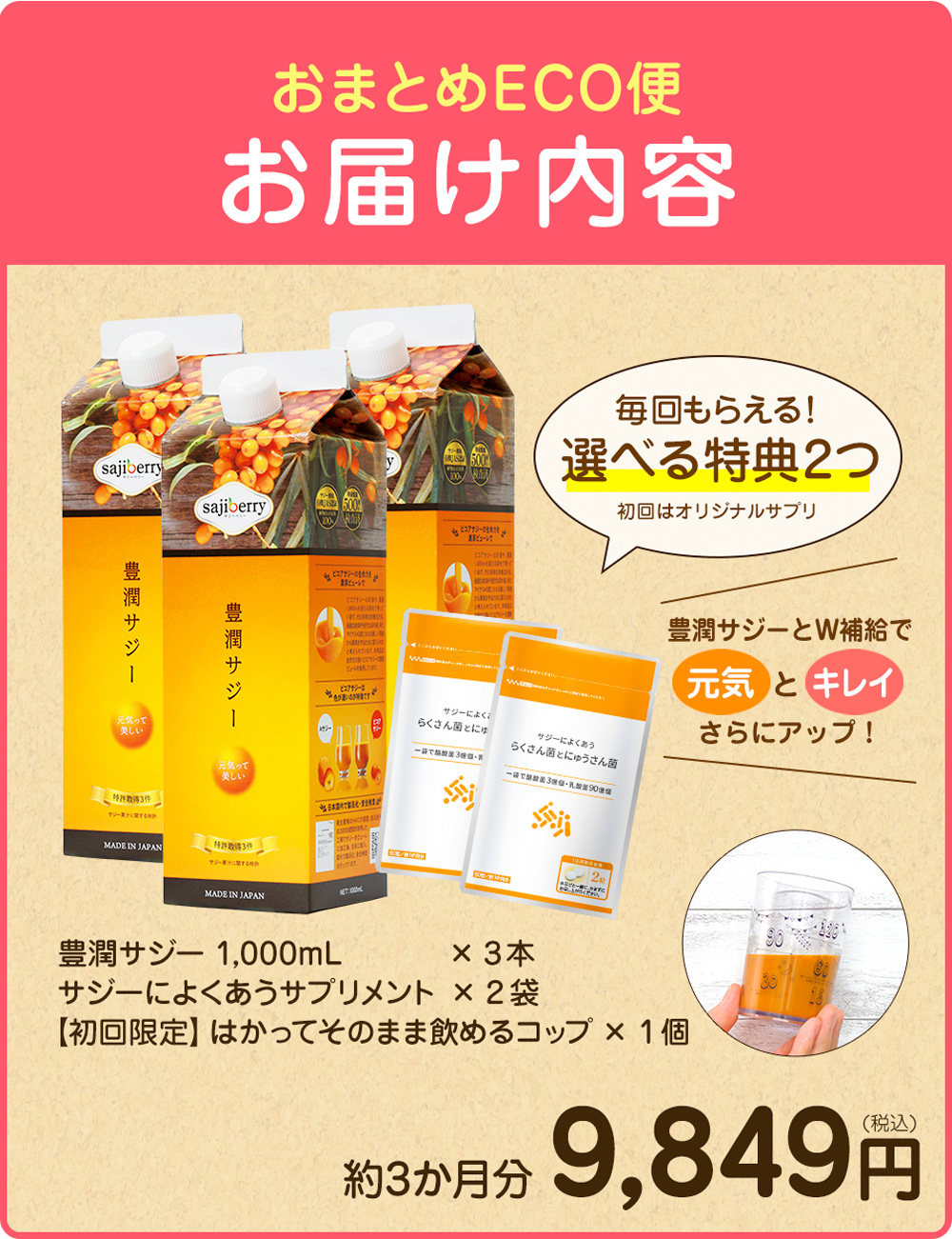 おまとめコース特設サイト｜サジージュース通販のフィネス